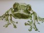 Animali, oli su carta